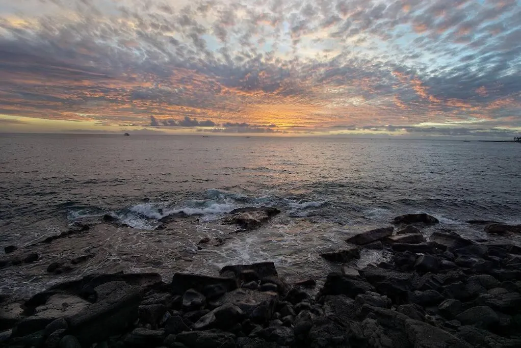 Classic Hawaiian Oceanfront Condo With Top Location - Hale Kona Kai 413 By Casago Kona Kailua-Kona 0*,  ABD